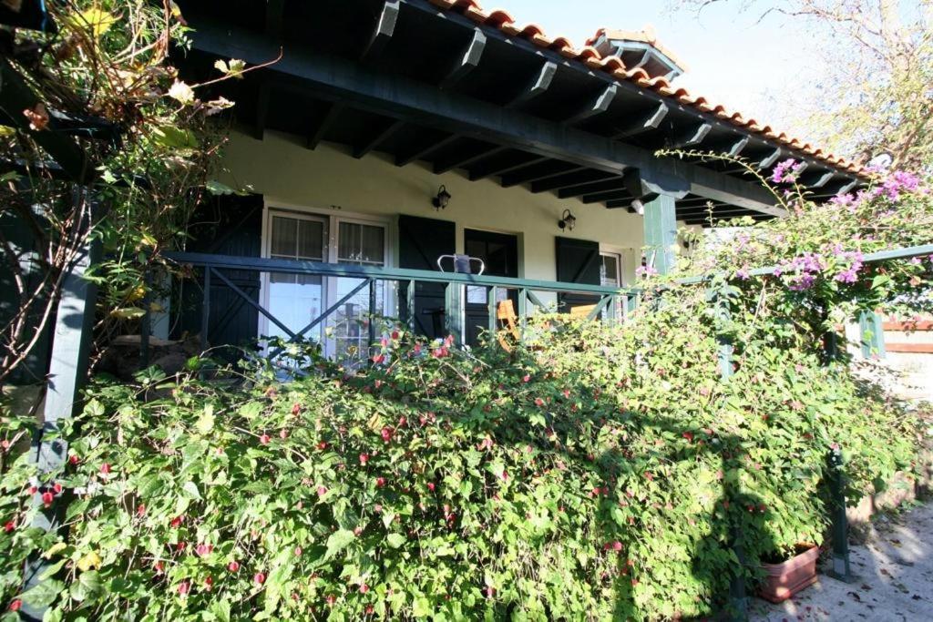 Villa La Casa De Gene Ruilobuca Exterior foto